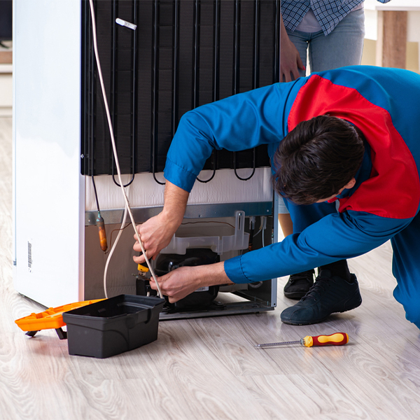 what are the common refrigerator repair services in Kealia